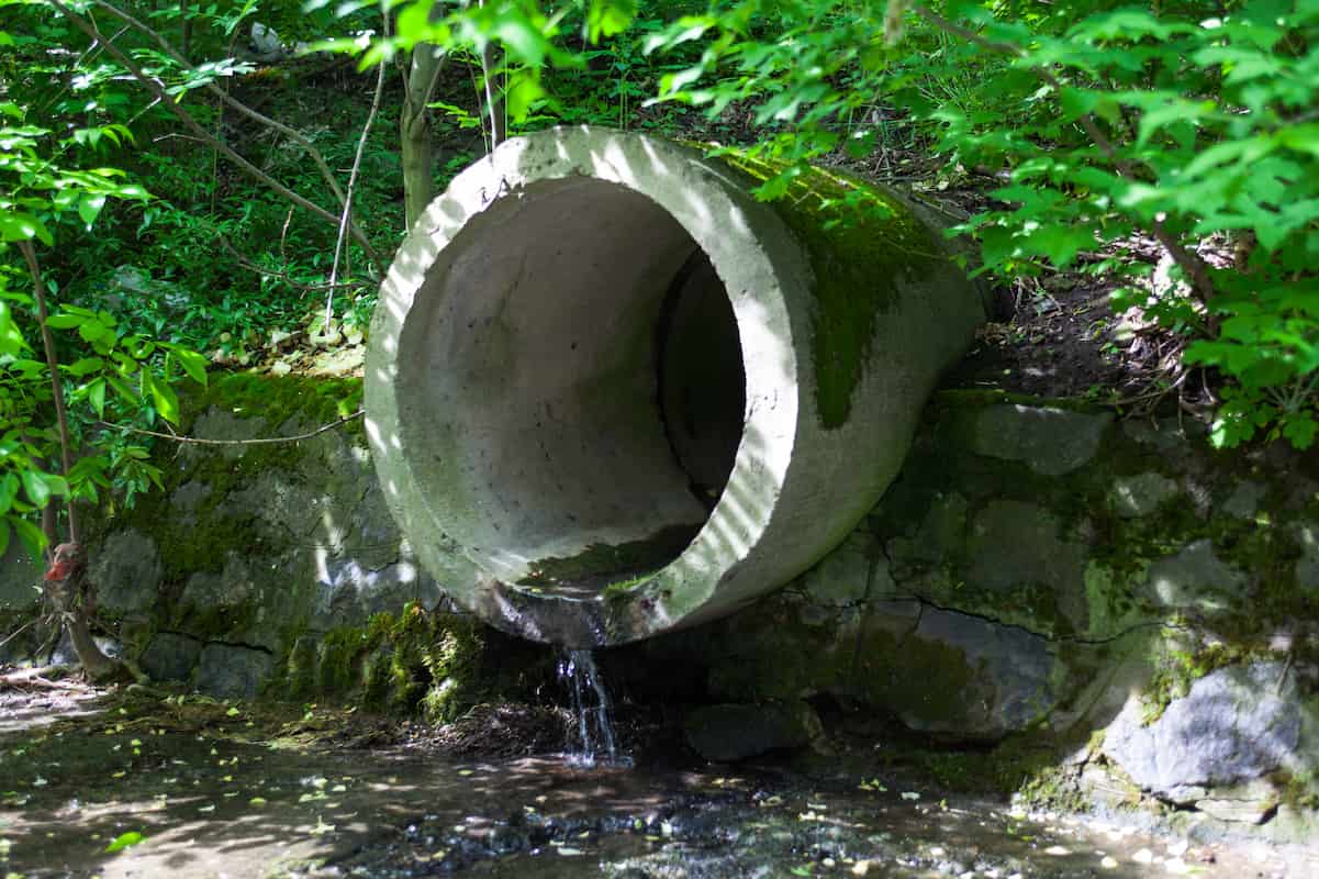 Large concrete stormwater pipe discharging water into a natural drainage area surrounded by greenery.