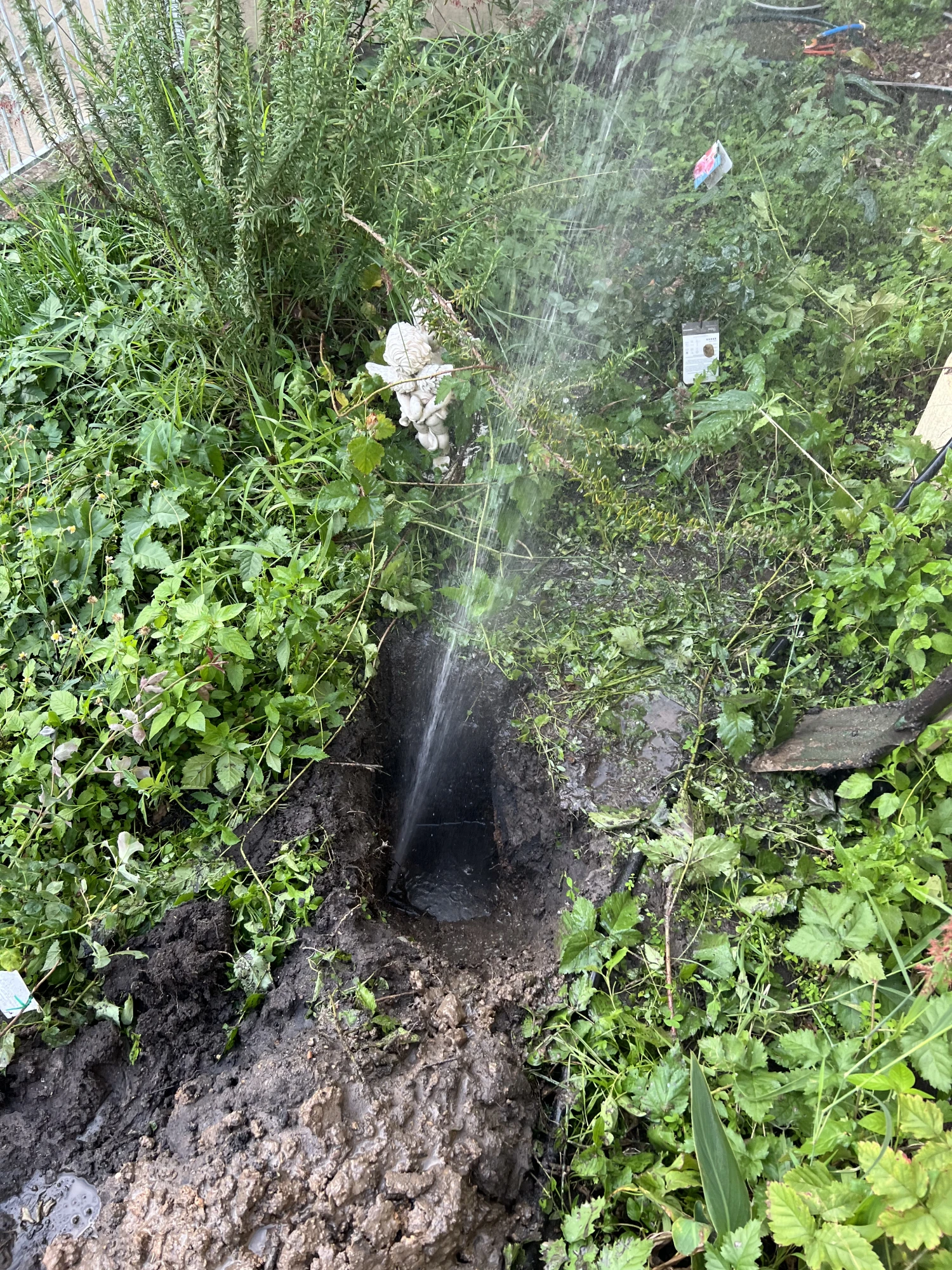 Burst Pipes 2