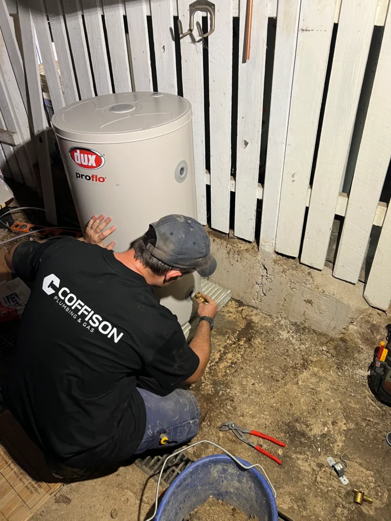 professional hot water system service and maintenance
